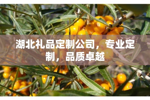 湖北礼品定制公司，专业定制，品质卓越